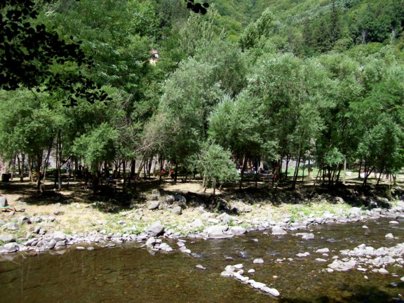  Image name: 100_0278.JPG 
 width: 576 pixel 
 height: 432 pixel 
 Size: 118727 bytes 
 Click to enlarge 